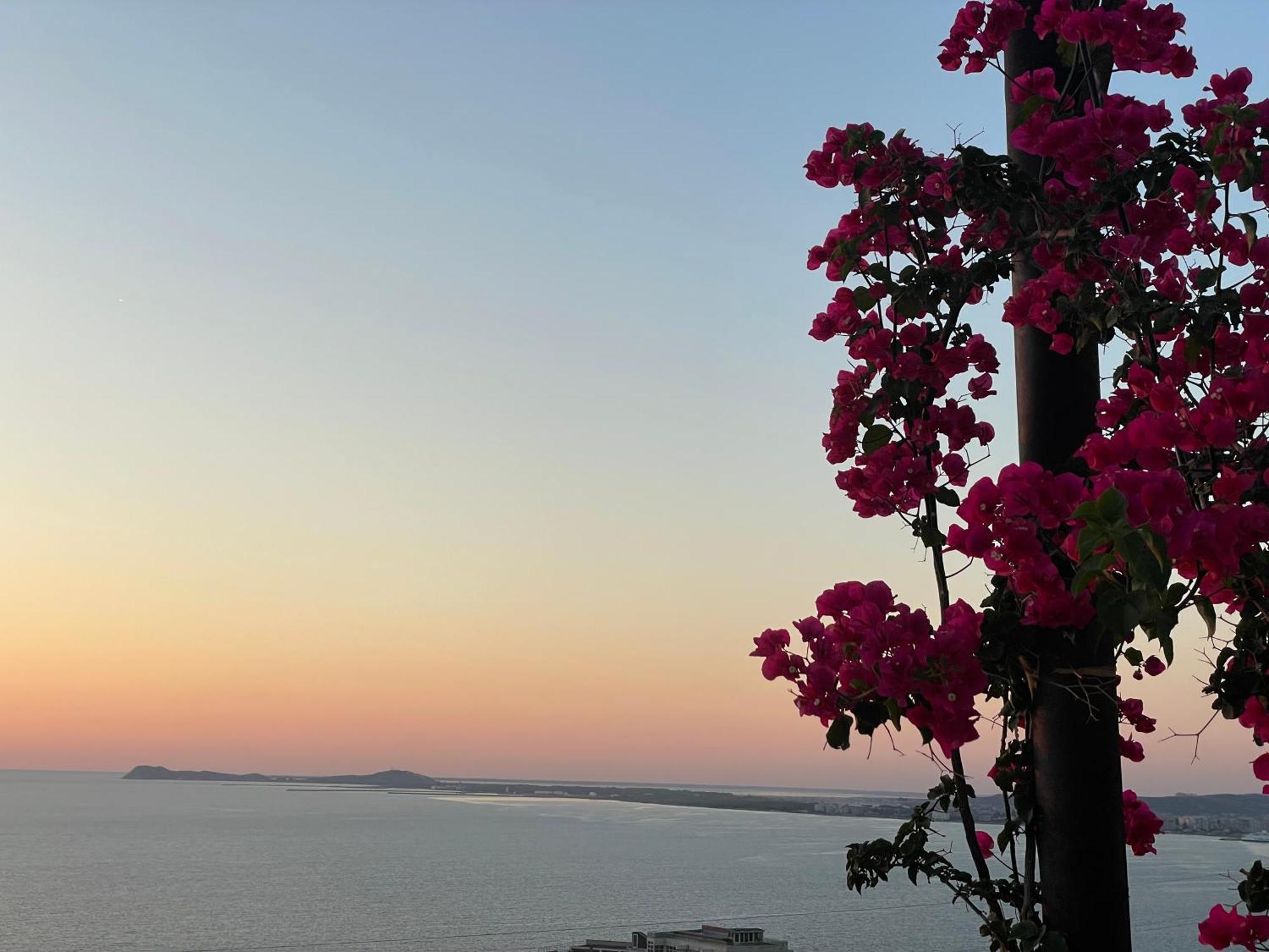Sunset Vista * Wlora